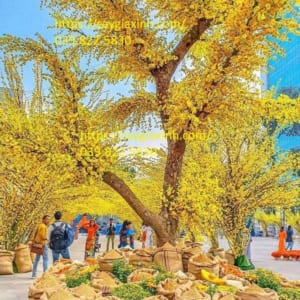 Cây Cổ Thụ Giả